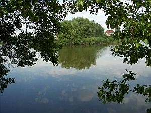 ubytování na Třeboňsku - Naučná stezka okolo rybníka Rožmberk